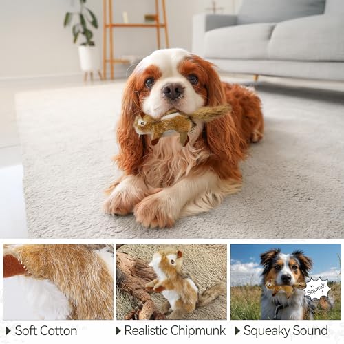 ALL FOR PAWS Squeaky Dog Toys, Plush Dog Toy, Stuffed Animal Dog Toys for Small Medium Large Dogs, Soft Chipmunk Toy with Squeaker - color: Chipmunk(S)