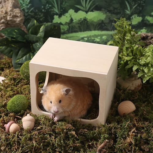 Hamster Hideout Wooden House Chamber Small Animals Pets Tunnel Exploring Toys Secret Peep Shed for Dwarf Hamsters, Syrian Hamsters, Gerbils, Hedgehogs, Rats, Mice (Study Room)