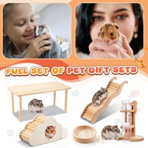 5 Pcs Hamster Cage Accessories, Wood Hamster Play Wooden Platform Water Bottle with Stand Climbing Set for Rat Mice Small Animals Pets Habitats Woodland Decor(Cloud Villa) - style: Cloud Villa