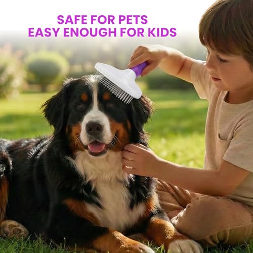 Poodle Pet Slicker Brush Large Size - For Dogs, Cats, Rabbits - Matted/Loose Fur, Knots - Suitable for Doodle/Goldendoodle Grooming and Shredding Short/Long Hair - color: Purple, size: Large Size