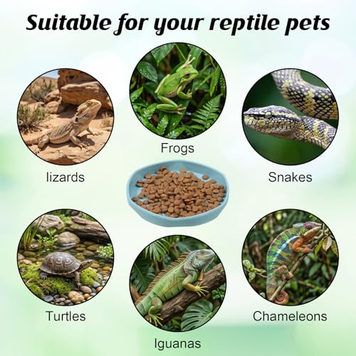 6 Pack Plastic Water Feeder Bowl Small Reptile Food Dish Bowl Reusable Worm Water Dish Plate Small Reptile Feeding Dishes for Lizard Gecko Bearded Dragon Chameleon Hermit Crabs 4" W x 4" D x 0.5" H