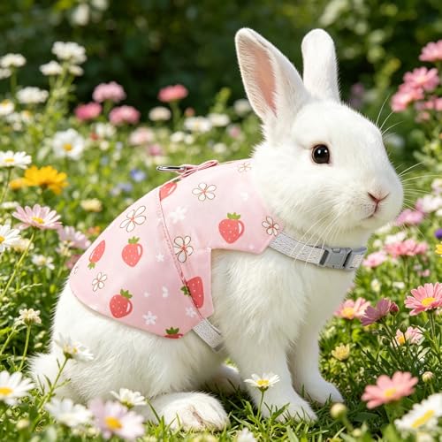 Bunny Harness and Leash Set Adjustable Escape Proof Rabbit Harness Double Buckle Bunny Accessories for Small Animal Pets Walking Training (Pink Strawberry, M -Chest(10.2-11.8in))