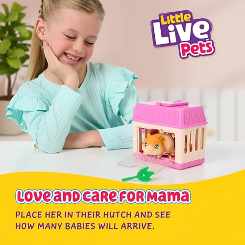 Little Live Pets Hamster Mini Interactive Toy Set, Hutch Animal Playset with 3 Surprise Babies, 20+ Sounds, Hamster Must-Haves for Ages 3+ | 20+ sounds, deluxe hutch reveals 3 babies, accessories; interactive pet toy for kids ages 4+ - style: Hamster