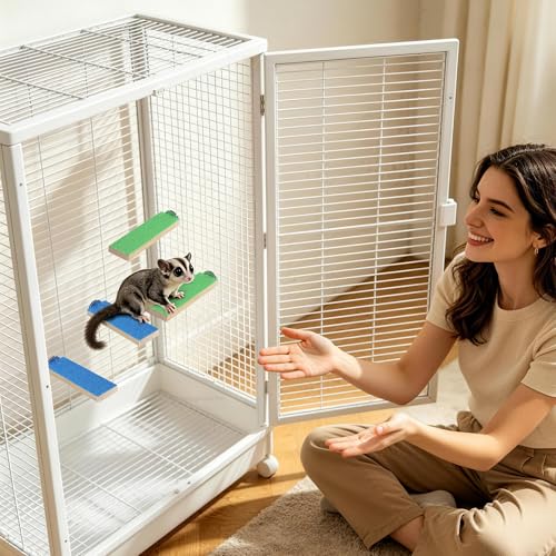 Mygeromon Sugar Glider Toy Climbing Steps Rat Cage Platform Accessories | Wood, 4 Pcs, Small Animal, Squirrels, Chinchillas Enrichment Supplies, Blue, Green