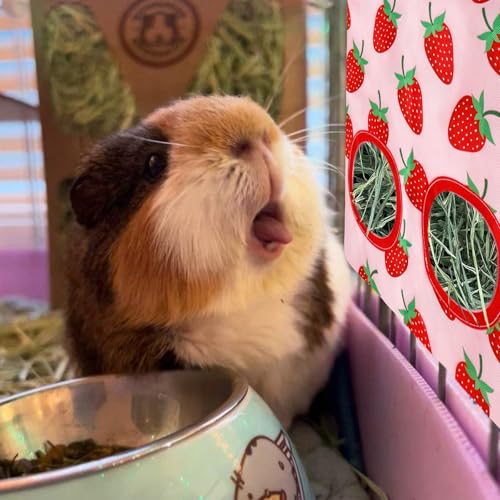 JarThenaAMCS 2Pcs Rabbit Hay Feeder Bag with 2 Holes Pink Strawberry Guinea Pig Hanging Hay Feeding Bag Storage Dispenser for Chinchilla Hamster Bunny Small Animal Pet