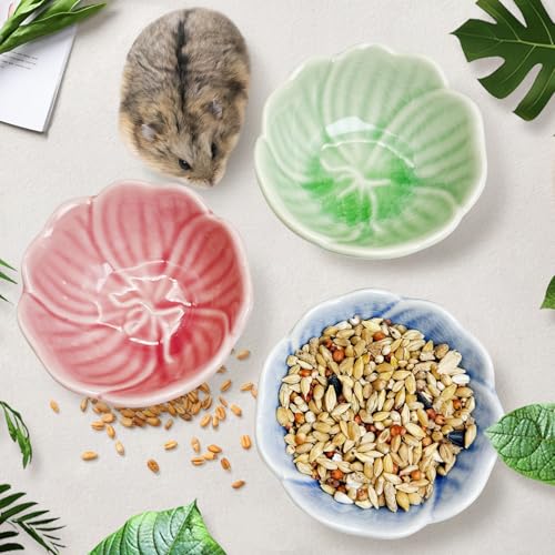 BNOSDM 2 Pcs Hamster Ceramic Food Bowl Flower Series Gerbil Drinking Bowls Anti-Turning Food & Water Dish for Dwarf Syrian Hamsters Gerbil Chinchilla（Green, Narcissus Pattern） - color: Green
