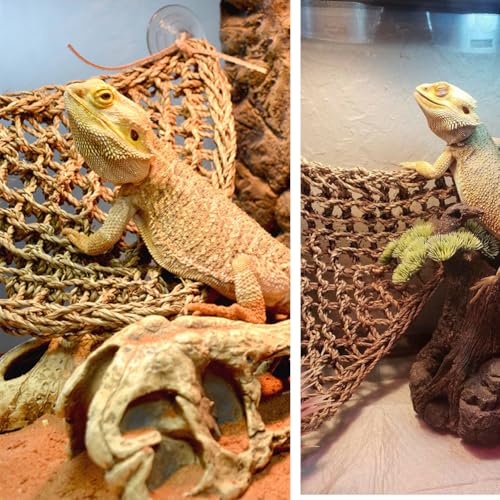Large Bearded Dragon Tank Accessories, Natural Adjustable Reptile Climbing Toys Bendable Bridge, Reptile Habitat & Hermit Crabs Habitat Decor with Climbing Hammock Toys for Hermit Crab, Lizard, Snake