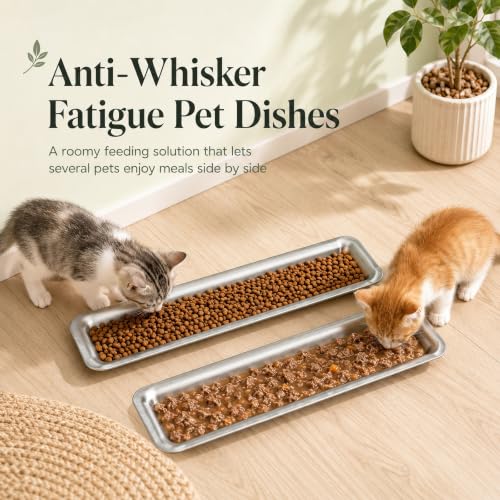 2 Pack Stainless Steel Pet Feeding Trays, 15.7 x 4.9 in Long Rectangular Metal Food Bowls, Wide Shallow Dishes for Cats, Rabbits, Guinea Pigs, Puppies, Small Animals, Multi Pet Homes