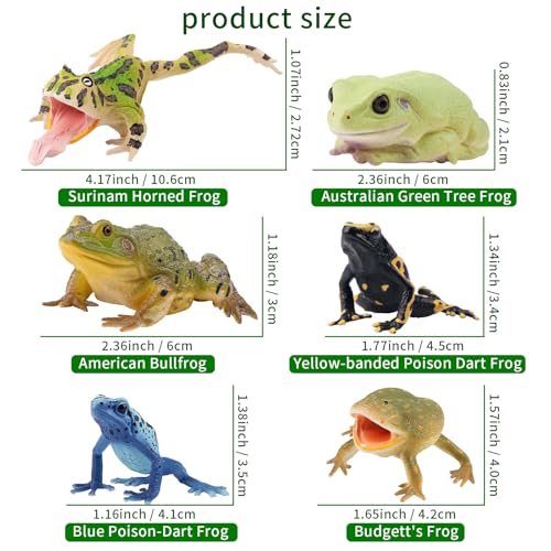 Toymany Frog Toy Figures, Plastic Rainforest Woodland Animals Toy Frogs Set with Realistic Poison Dart Frog, Cake Topper Party Favor Garden Flowerpot Plants Decor - style: Jungle Animal-2