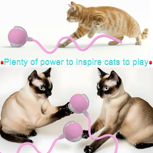 Interactive Cat Dog Toy Ball with LED Light, Automatic Rolling(Pink) | String Tail and LED Light Design, Motion Activated, Suitable for Interactive Indoor Pet Play and Exercise - color: Pink