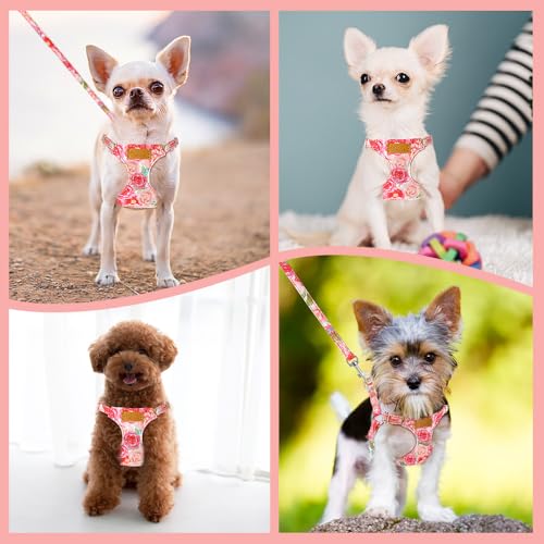 Lukovee Puppy Harness and Leash Set, No Pull, Lightweight Step in Vest | Adjustable, Soft Suede Vest, Easy Put on and off Pet Harness with Snap Buckle & 51in Leash for Small Medium Dogs (Pink-R,XXS) - color: Pink Rose, size: XX-Small ( 2.2-6lb )