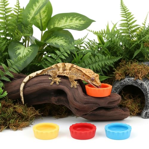 7 Pack Reptile Feeding Dish, Gecko Food Dish, Reusable Silicone Reptile Water Dishs, Small Pet Tank Accessories for Crested/Leopard Gecko, Hermit Crab, Tarantula, Isopods
