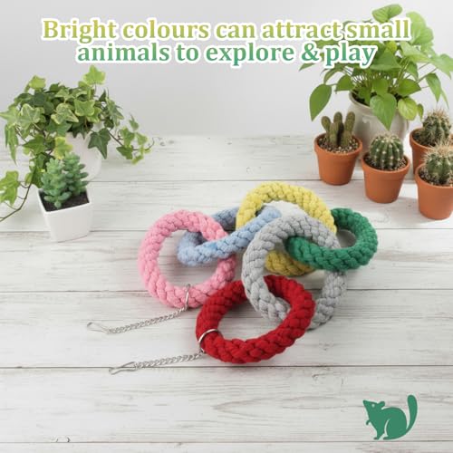 Sugar Glider Toys, Hanging Rat Climbing Toys with Hanging Chain, Sugar Glider Cage Accessories with Teeth-Grinding Effect, Squirrel Toy for Squirrels, Hamsters, Small Animals (Long) - color: Long