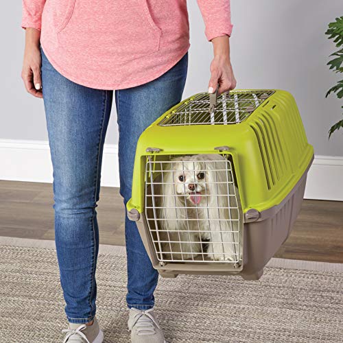 Spree by Midwest 24-Inch Travel Carrier, Green, Fits Pets up to 25 lbs | Hard-Sided Pet Carrier, 2-Door, Ventilated Design, Locking Tabs, Easy Assembly - color: Green