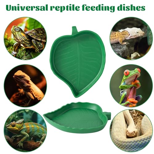 4Pack Terrarium Bowls Turtle Feeding Dishes Shallow and Flat Reptile Food and Water Feeder for Tortoise,Bearded Dragon,Lizards,Gecko,Cute Leaf and Mango Shaped