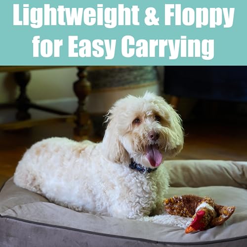 SPOT Skinneeez Chicken 17" Stuffing-Free Plush Dog Toy with Honking Squeaker – Soft, Floppy & Mess-Free Interactive Toy for Medium & Large Dogs – Ideal for Light & Moderate Chewers - style: Chicken