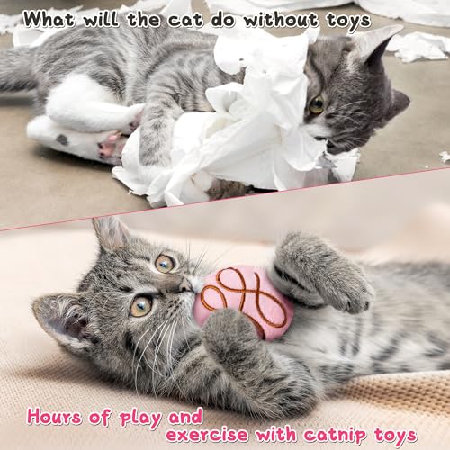 MALLMALL6 Catnip Toys for Cat - 5Pcs Valentines Chocolate Truffles Catmint Interactive Teething Chew Kick Cat Toy for Indoor Kitten, Soft Candy Pet Supplies, Pet Valentines Gifts for Kitten Lover - style: Chocolate Truffles