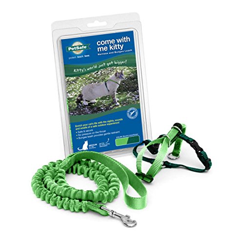 PetSafe Come with Me Kitty Harness and Bungee Leash, Large, Lime - color: Lime, size: Large (Pack of 1)