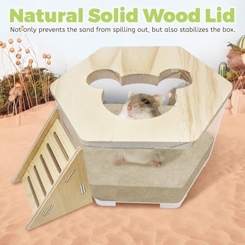 Hamiledyi Hamster Sand Bath Box Transparent Gerbil Digging Sand Container Acrylic Small Dwarf & Syrian Hamster Shower Bathtub with Climbing Ladder Bowl and Scoop Cage Accessories for Lemmings - style: Mice