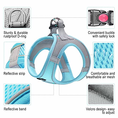 haapaw Dog Harness with Leash Set, No Pull Adjustable Reflective Step-in Puppy Harness with Thickened Padded Vest for Extra-Small/Small Medium Dogs - color: Grey / Blue, size: S