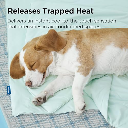 Bedsure ArcticMax™ Q-MAX>0.5 Premium Cooling Blanket for XL Dog，50x60” | Breathable Summer Washable Throw, Dog Blanket Cooling Mat Pad, Soft Durable Cold Self Cooling Pet Mat for Hot Weather，Green - color: Turquoise Green, size: XL(50x60")