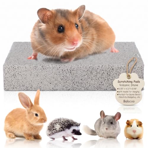 Balacoo Rabbit Scratch Foot Pads, Natural Small Animal Volcanic Stone Teeth Grinding Scratching Pad Chew Toy for Hamster, Guinea Pig, Gerbil, Chinchilla, Hedgehog