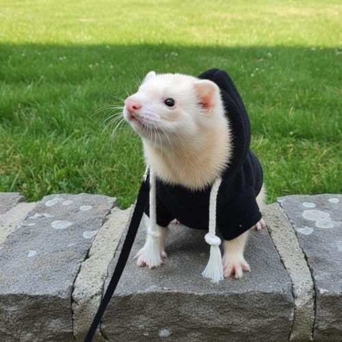 Small Pet Harness Vest and Leash Set Ferret Clothes Hoodies for Ferrets for Outdoor Walking Rabbit Ferret Guinea Pig Bunny Hamster Puppy Kitten (Black Clothes + Leash) - color: Black clothes + leash