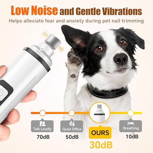 Dog Nail Grinder Electric Powerful 3 Speeds Dog Nail Clippers with Lights Quiet Cat Nail Clipper Painless Care Trimmers Tools for Small Medium Large Dogs and Cats (Black) - color: Black