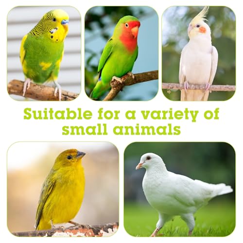 Stainless Steel Bird Bowls for Cage 2 Pcs Parrot Feeding Dish Metal Food and Water Cups Detachable Birds Cage Feeder Hanging Finch Food Plates with Perch for Parakeet Budgie Lovebird (Green) - color: Green