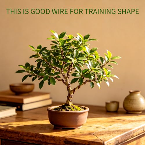 Mudder 5 Roll Aluminum Bonsai Training Wire Tree 2/2.5/3/4/6mm 42 Feet Total with Bonsai Wire Cutter Anodized Training for Holding Branches Small Trunks(Brown) - color: Brown, size: 2/2.5/3/4/6mm