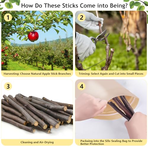 600g Organic Apple Sticks Small Animals Molar Wood Treats Toys for Chinchillas Guinea Pig Rabbits Hamster Gerbil Parrot Bunny Chew Stick Toys, 21.2 OZ - size: 1.33 Pound (Pack of 1)
