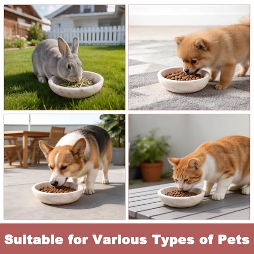 Natural Marble Cat Bowl, Weighted 1.5lb Cat Food Bowl for Cat and Small Dog, Small Animal Pet Food Dish Non-Slip, Shallow Cats Dish for Whisker Fatigue Relief, Premium Pink Stone for Home Decor - color: Pink
