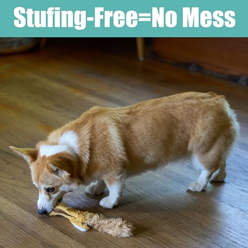 SPOT Skinneeez Flying Squirrel 14 Inch Stuffing-Free Plush Squeaky Dog Toy – Soft Tug-of-War Toy for Small and Medium Dogs – Mess-Free Interactive Chew Toy for Moderate Chewers - style: Mini Flying Squirrel