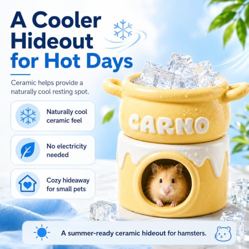 Meow&Woof Ceramic Hamster Hideout House & Bowl Set, 4-in-1 Natural Cooling Cave, Sand Bath, Food Bowl, Syrian Hamster, Dwarf Hamster, Gerbil, Small Animal, Food-Grade Safe, Easy Clean