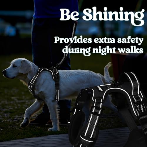 rabbitgoo Dog Harness Small Sized, Updated Easy On & Off with 3 Buckles | No Pull No Choke, Walking with 2 Clips and Handle, Adjustable Soft Reflective, Black, Small - color: Black, size: Small