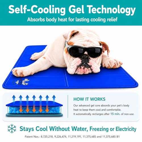 Arf Pets Dog Self Cooling Pet Bed Solid Gel Based | Durable & Non-Toxic | Includes a Foam Based Bolster Bed for Extra Comfort | Pressure-Activated | No Water, Electricity, or Refrigeration Needed - size: 20 x 30
