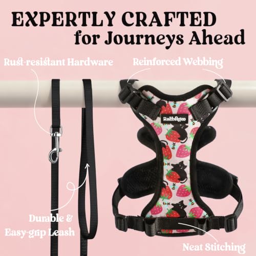 rabbitgoo Cat Harness and Leash Set, Escape Proof Vest, Berry Pounce | Soft Breathable Mesh, Easy Adjustable Fit, Snap Buckles, Sturdy Clip, Reflective Strips, for Kittens & Small Cats Walks, Xxs - color: Berry Pounce, size: Xxs
