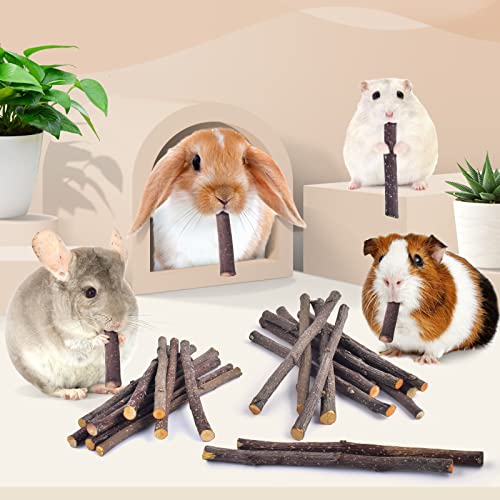Bissap Apple Sticks for Rabbits, Natural Bunny Chew Toys and Treats for Chinchilla Guinea Pig Hamster Gerbil Small Animals Pet Apple Wood Stick Toys Teeth Grinding (460g/1lb) - size: 16.2 Ounce (Pack of 1)