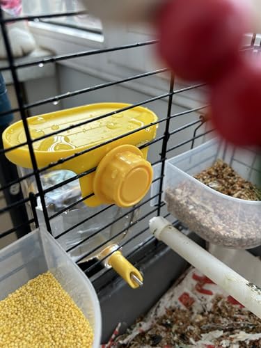 Bird Water Bottle 330ml Automatic Leak Proof Drinking Dispenser for Cage | External Cage Waterer Large Capacity for Parakeet Cockatiel Budgie Finch Lovebird –– Easy Clean