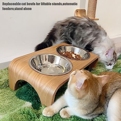 8Pcs Stainless Steel Cat Bowls 5.5 Inch Kitten Food Bowls for Indoor Cats | 5.5-Inch Shallow Stainless Steel Kitty Bowls; Whisker-Friendly Pet Dishes for Indoor Cats; Dishwasher Safe Metal Cat Bowl