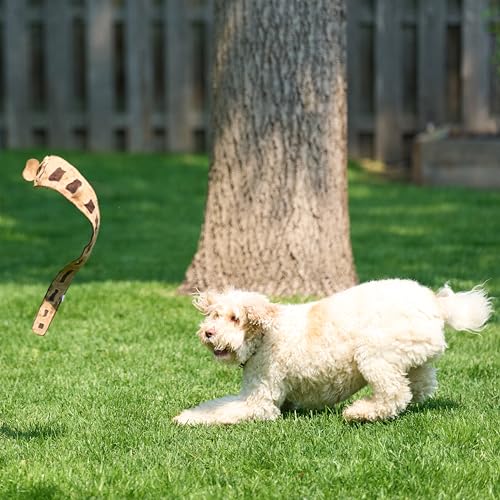 SPOT Skinneeez Leather Snake – 25in Stuffing-Free Dog Toy with Real Leather & 4 Squeakers, Durable Tug Toy for Light to Moderate Chewers, Great for Medium & Large Dogs - size: 25 Inch