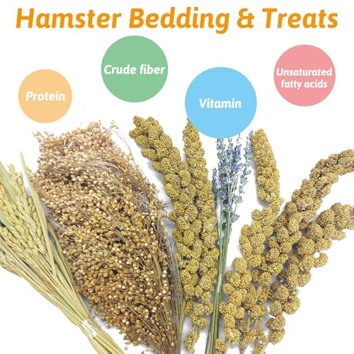 Fhiny Natural Hamster Bedding Mate, Edible Hamster Sprays Flowers & Herbs Gerbil Habitat Enclosure Decor Grain Treats Cage Accessories for Dwarf Syrian Hamster Gerbil Degus Lemming Mice