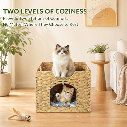 Handwoven Rattan Cat Bed Indoor Kitten, Cat Bed Cave with Cushion, Sisal Ball & S-Shaped Hooks, Foldable Hideaway Cat House for Bedroom Living Room, Natural - color: Natural A