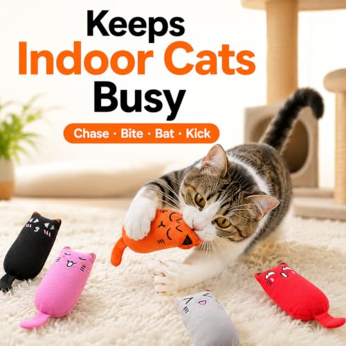 Legendog 5Pcs Bite Resistant Catnip Toy for Cats,Catnip Filled Cartoon Mice Cat Teething Chew Toy - color: Multicolor