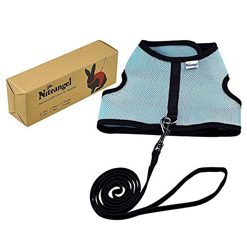 Niteangel Adjustable Soft Harness with Elastic Leash for Rabbits (XL, Blue) - color: Blue, size: XL