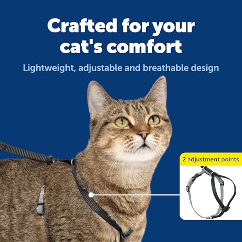 PetSafe Come with Me Kitty Harness and Bungee Cat Leash, Black, Small | Adjustable 2-Point Fit Applies Gentle Pressure to Shoulders, Not Neck, for Kittens and Small Cats with 9 in - 11 in Girth - color: black/fawn, size: Small (Pack of 1)