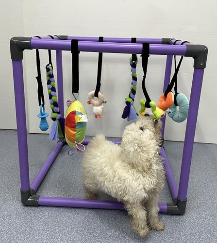 Puppy Play Gym for small dogs with 8 Hanging Interactive Toys Indoor Play | Funny Enrichment Jungle Playground to Keep Them Busy，with Bungee Straps for self-play,19.5*19.5*19.5in