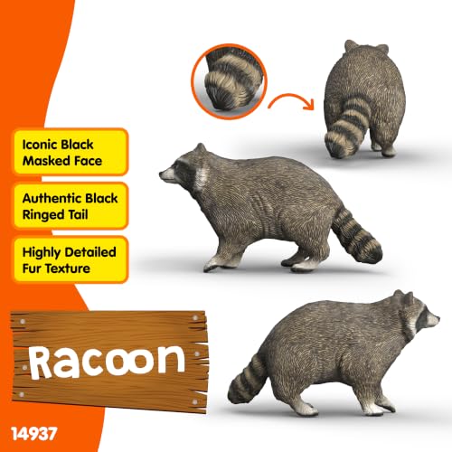 Schleich Wild Life - Raccoon Figurine - Realistic Forest Wildlife Animal Figurine for Boys and Girls - Imaginative Play Animal Toys for Kids Ages 3+ | 14937 | Wild Animal Figurine, Realistic Animal Toys, Safari Toy for Boys and Girls, Screen-Free Imaginat