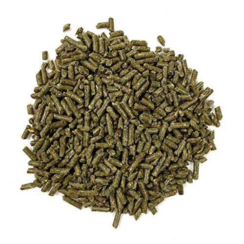 Oxbow Essentials Adult Guinea Pig Food, Timothy Hay Pellets, USA, 5 lb | Guinea Pig Pellets, Vitamin C For Guinea Pigs, Stabilized, High Fiber, Made in USA, Uniform Food, Prevents Selective Feeding - size: 5 Pound (Pack of 1)