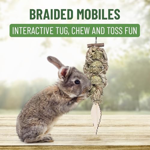 Small Pet Select Tiny Paws Willow Play Pack, Toys, Tunnel & Hideout | Natural Chew Toys & Cage Accessories, For Guinea Pigs, Rabbits, Bunnies & Other Small Pets
